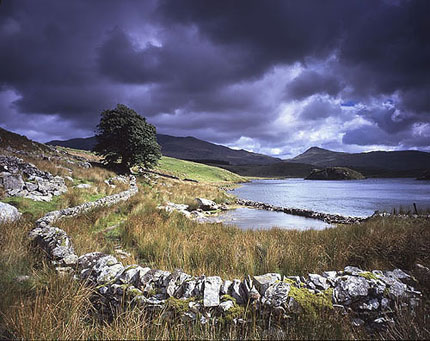 albion_Snowdonia.jpg