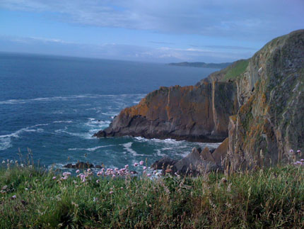 albion_baggy_point_view_nor.jpg