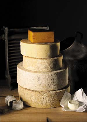 albion_cheese_double_gloucester.jpg