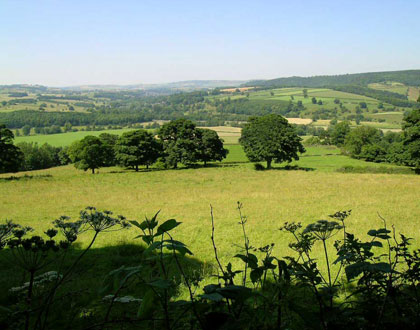 albion_derbyshire_summer_bb.jpg