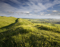 albion_dorset_hill_200w.jpg