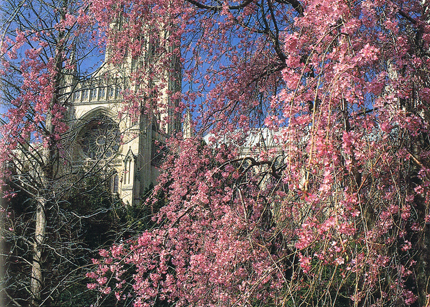 blog_Washington-Cathedral_s.jpg