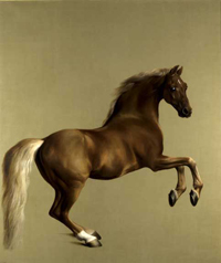 cr_stubbs_whistlejacket_200.jpg