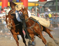 Cowboy rodeo