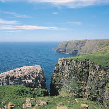 Newfoundland cliffs