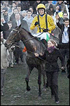 blog_cheltenham_mullins.jpg