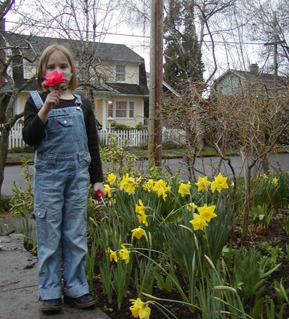 celeste_camellia_daffodils_.jpg
