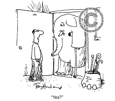 cr_punch_elephant.jpg