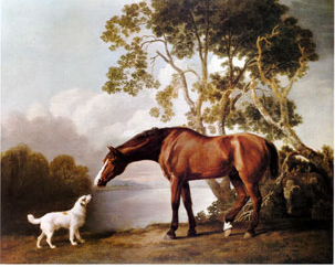 White dog and bay horse touching noses