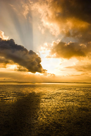 Golden sea and clouds