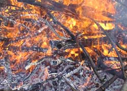 f_bonfire_250w.jpg
