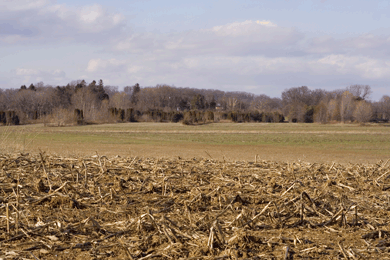 A farm in Pennsylvania. It's winter. Corn husks in the foreground; field and woods in background
