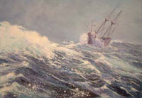 f_mayflower_200w.jpg