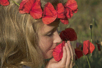 Little girl with poppies
