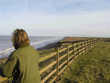 Woman gazing out across fence to North Sea