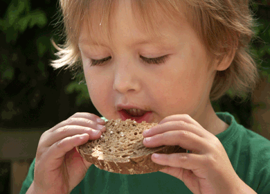 Little boy eating bread