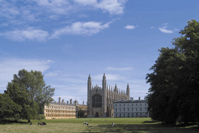 View of Cambridge University across meadows with cows