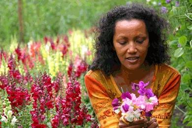 Dark-skinned woman in colourful field of flowers smiles down at bouquet of flowers