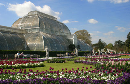 Kew, Palm House