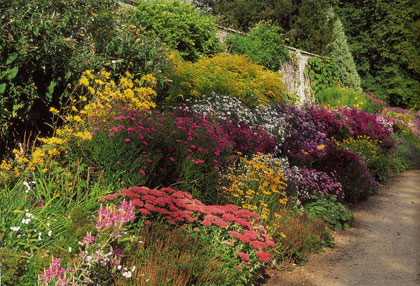 life_autumn_garden_thomas.jpg