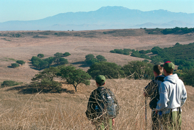 Boy scouts gaze out over wilderness