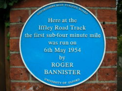 ss_bannister.jpg