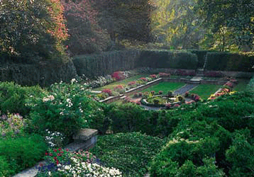 Flowering garden in America