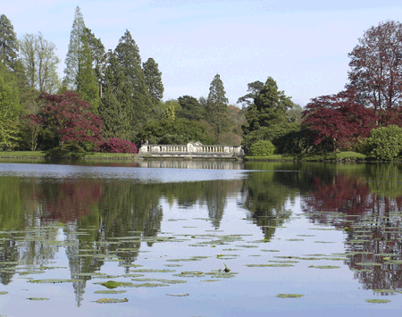 Trees and water of Capability Brown's natural park