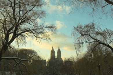 Central Park is a place of enchantment below the towers of New York