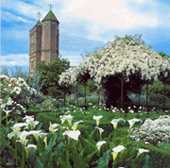 Sissinghurst Castle's white garden