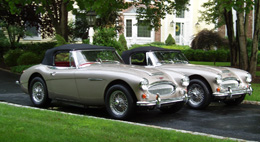 life_austin_healey_260w.jpg
