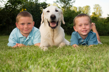 life_dog_boys_450w.jpg